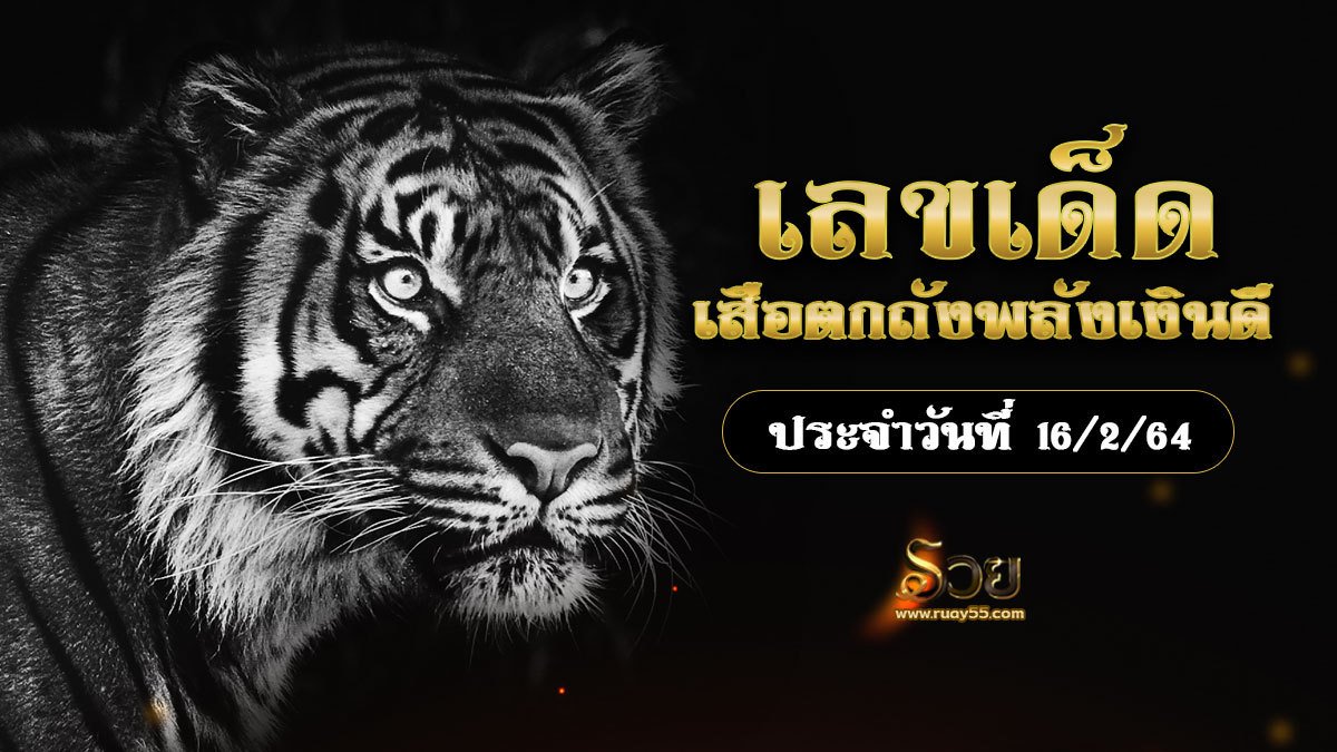 เสือตกถังพลังเงินดี 16/2/64