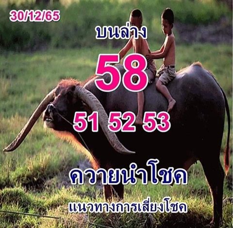 เลขควายนำโชค หวยงวดนี้ 30/12/65